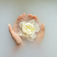 Hands Holding Flower