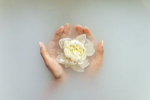 Hands Holding Flower