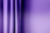 Purple Curtain