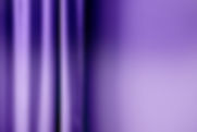 Purple Drapes Closeup