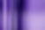 Purple Curtain