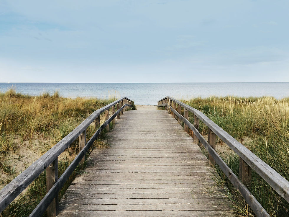 Plage du sentier en bois