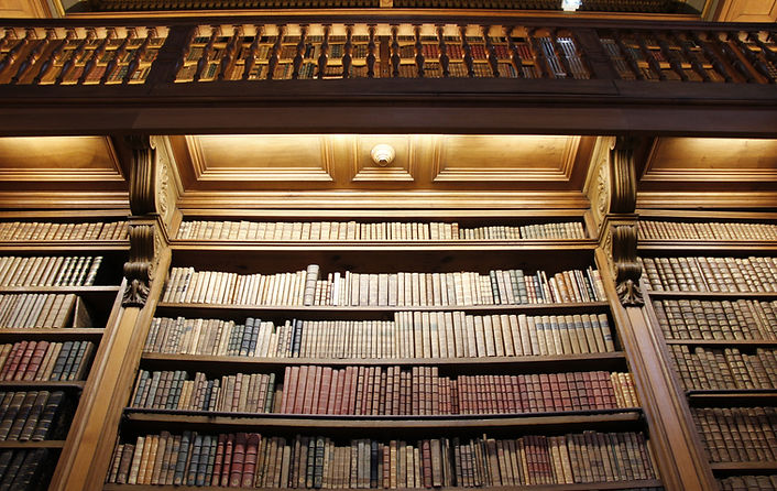 Bibliothèque en bois