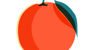 A Clockwork Orange: Exploring the Ethics of The Ludovico Technique