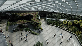 Urban Indoor Gardens