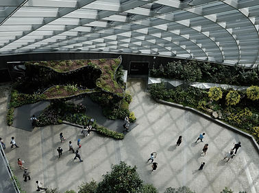 Urban Indoor Gardens