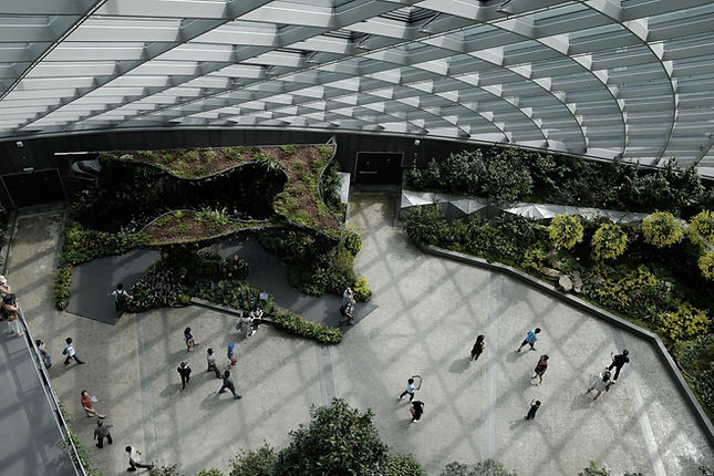 Urban Indoor Gardens