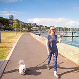 Walking the Dog