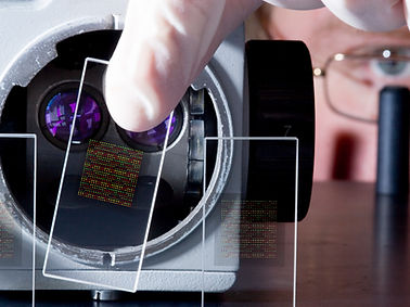 Microscope and Glass Slide