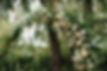 Bruiloft bloemen decoraties