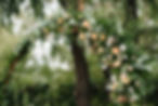 Bruiloft bloemen decoraties