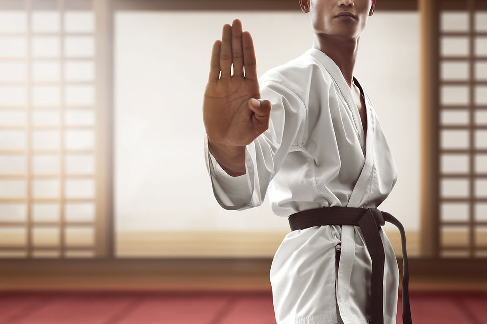 Karate Pose Focus