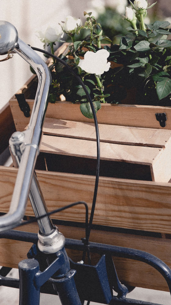 Bike Basket Box