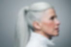 Gray Ponytail