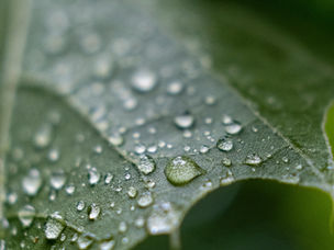 気圧の低さと気管支喘息