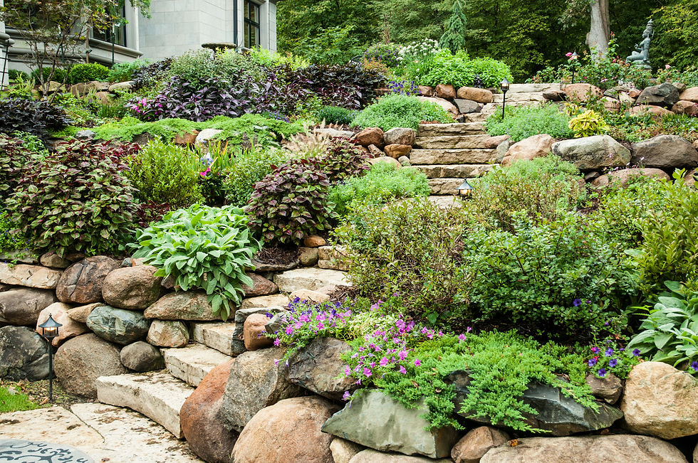Rockery garden featuring a variety of alpines, ground cover plants, and natural stones