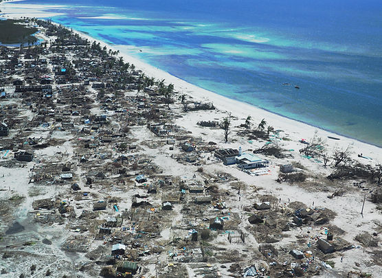 Beach Debris habitat destruction