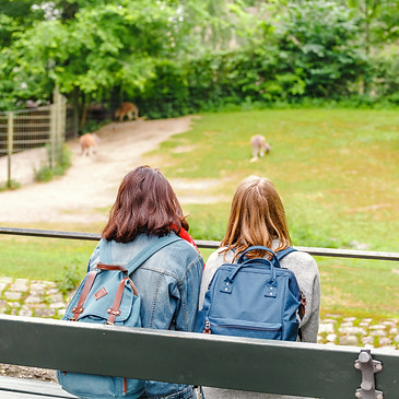 Students at the Park