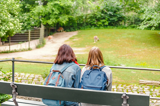 Students at the Park