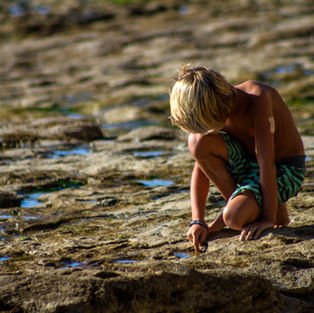 La curiosidad como estrategia de vida