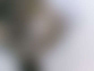 Psychology & Dhamma Reflections on Sleep: Why Most Humans Need Way More Rest Than the Buddha’s Enlightened Mind