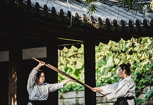 Practica de artes marciales