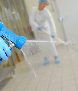 Cleaning Services