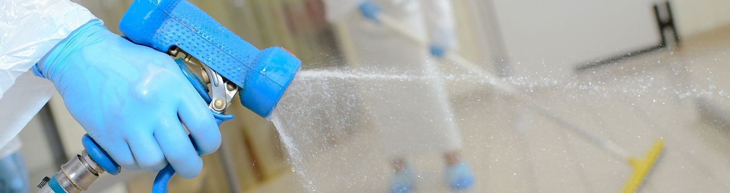 Sanitation Process