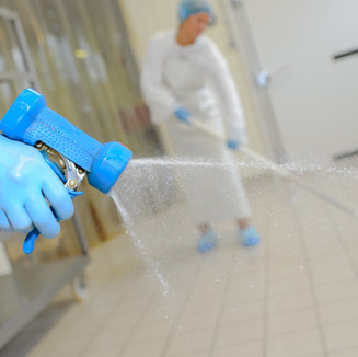 Cleaning Services