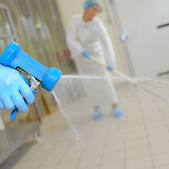Cleaning Services