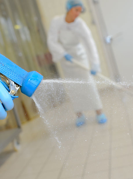 Cleaning Services
