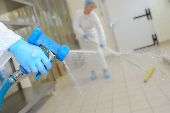 Cleaning Services