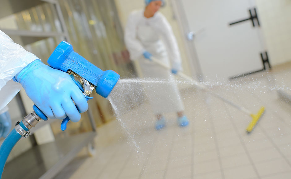 Cleaning Services