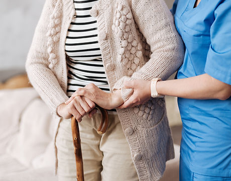 Elderly Support Interaction