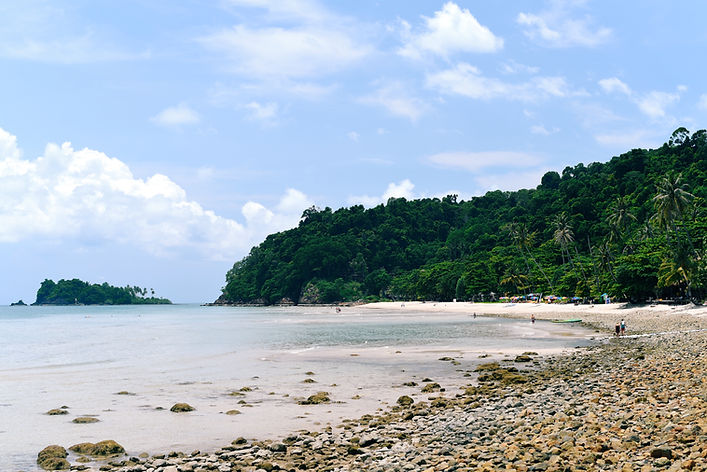 Tropical Beach Scene