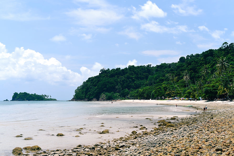 Stoney Beach