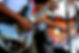 Guitar Performance Closeup