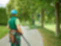 Tree surgeon in high-visibility gear walking along a leafy park path