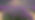 Lavender Fields