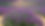Lavender Fields