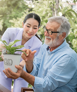 Cuidar das plantas