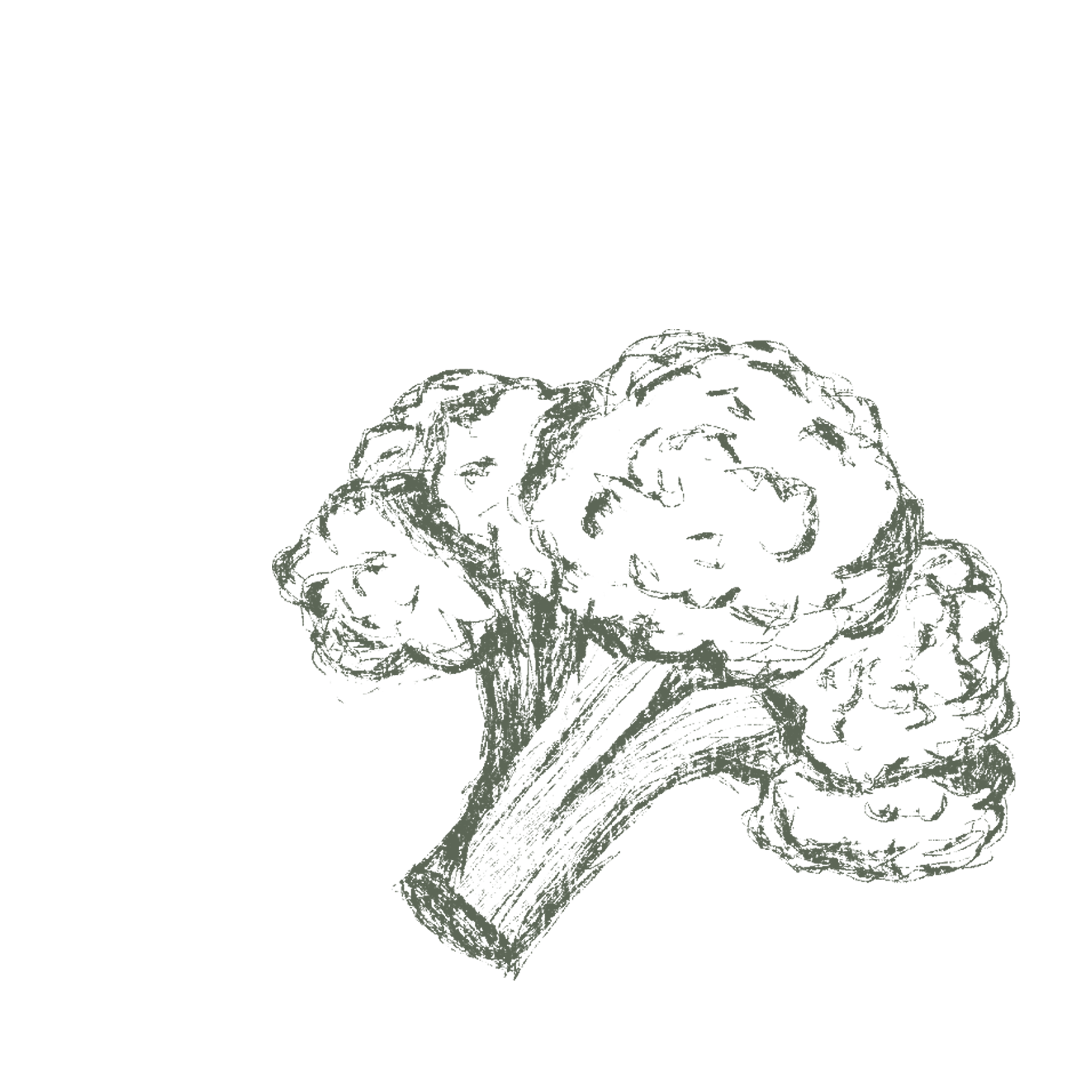 Broccoli
