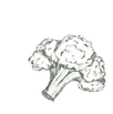brocoli