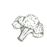 brocoli