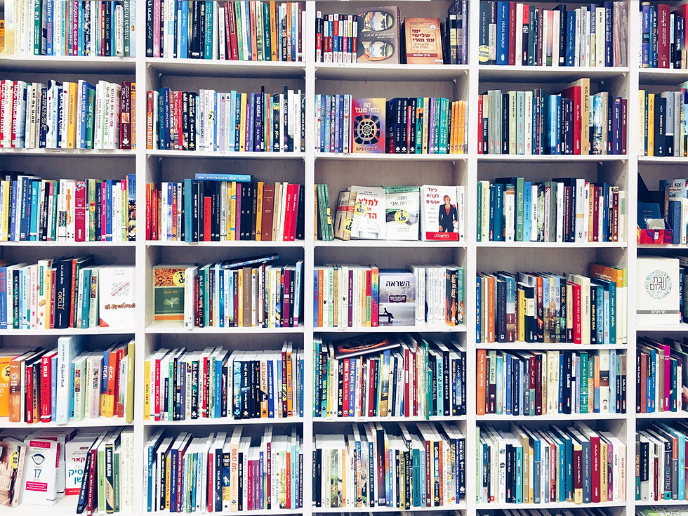 Estantes de livros coloridas