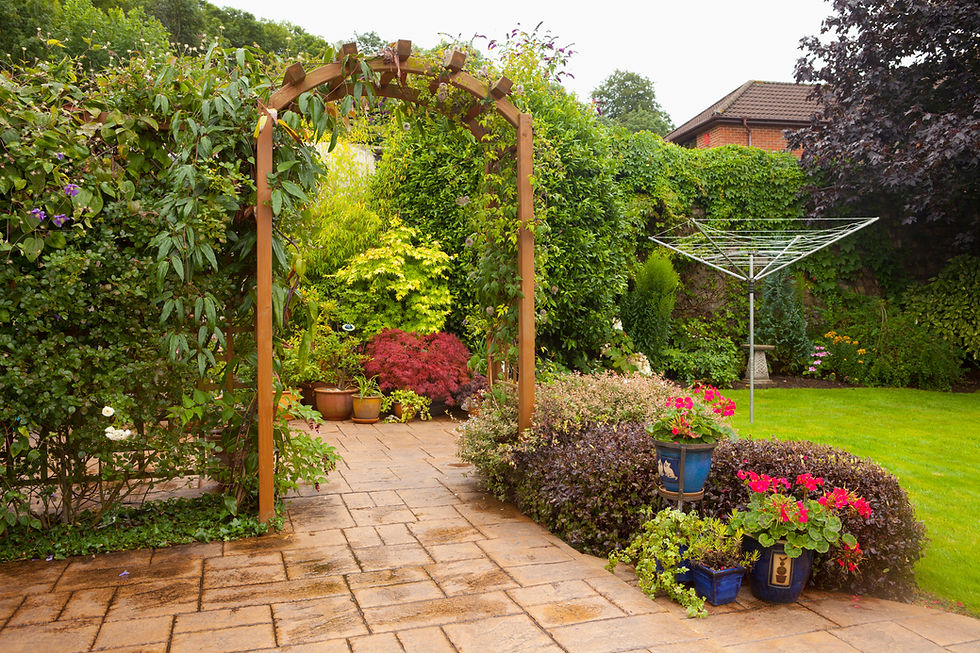 A well-tended domestic garden with a lawn, paving stones, clothes line and a trellis, as w