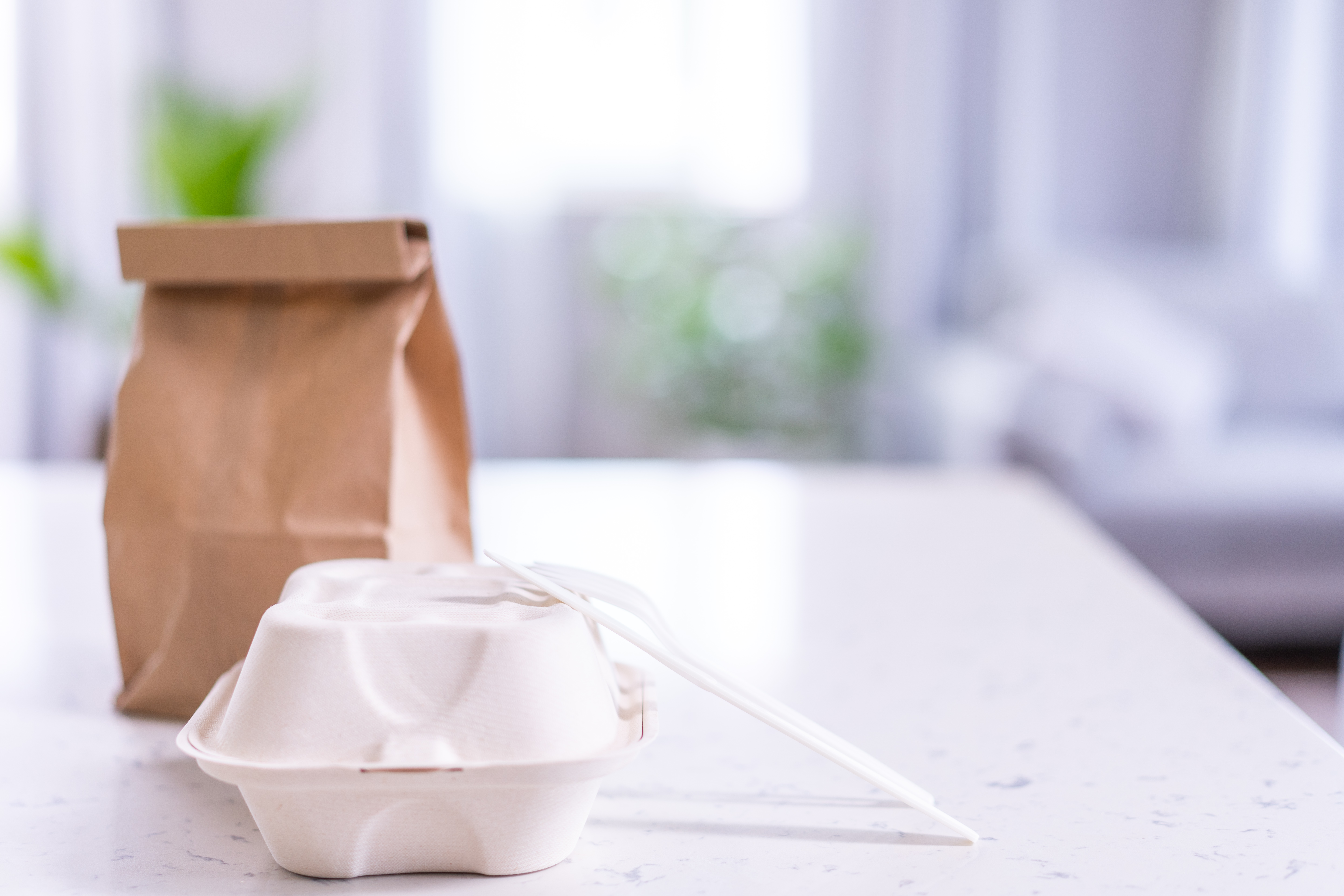 Eco-Friendly Takeout Scene