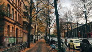 Von Bäumen gesäumte Stadtstraße im Herbst: orangebraunes Laub auf Geh- und Radweg, links Backstein-Altbau mit Graffiti, rechts geparkte Autos und Fahrräder, bedeckter Himmel, ruhige Szene