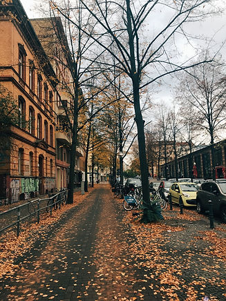 City in the Fall
