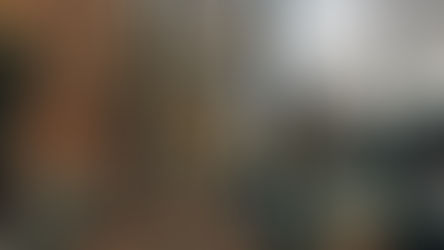 Von Bäumen gesäumte Stadtstraße im Herbst: orangebraunes Laub auf Geh- und Radweg, links Backstein-Altbau mit Graffiti, rechts geparkte Autos und Fahrräder, bedeckter Himmel, ruhige Szene